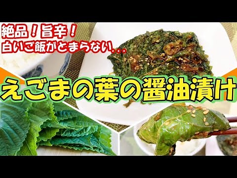 ただの醤油漬けじゃない！本格🌟絶品『えごまの葉の醤油漬け』白いご飯にめっちゃ合う！クセになるご飯のお供 エゴマの葉 ケンニッパリ 韓国料理