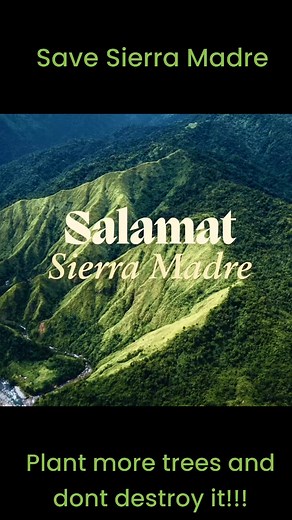 4.5K views | Program on planting trees at SIERRA MADRE and will stop Kaliwa DAM project that will destroy the mountain #protectsierramadreatallcost #sierramadremountains #NoToKaliwaDam #protectnature #protectourplanet | Jaz Jimenez | Facebook