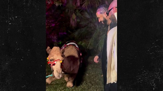 French Montana Gets Camel As Birthday Gift!