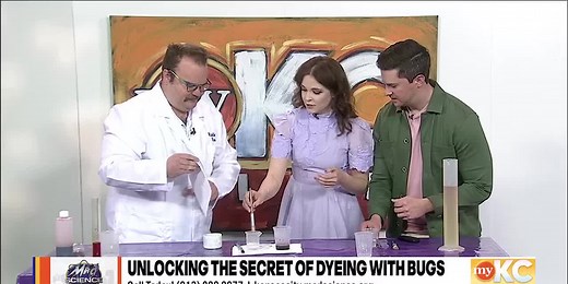 Mad Science: The Secret of Dyeing with Bugs