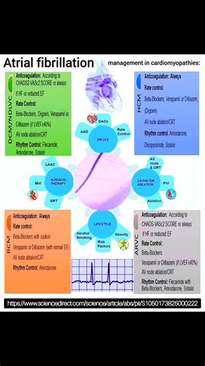 Atrial Fibrillation Management Strategies in Cardiomyopathies 🫀: anticoagulation, rate and rhythm control strategies for atrial fibrillation across major cardiomyopathy subtypes (DCM/NDLVC, HCM, RCM, ARVC). see which strategies work best for each subtype! #Cardiomyopathy #AtrialFibrillation #Anticoagulation #RhythmControl #HeartFailure #Cardiology #Electrophysiology | Abdallah Othman