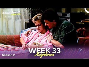 Week 33 | Episodes 331-335 | Neighbours 1986 (Season 2)