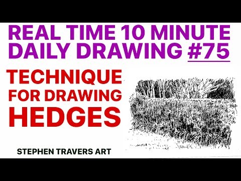 Easy Way to Draw Hedges That Look Real