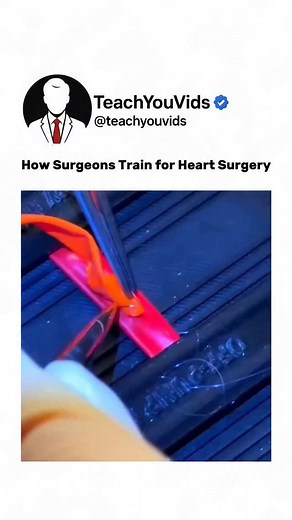 138K views · 155 reactions | How surgeons train for heart surgery...