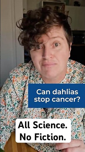 🏵️Oregon scientists find dahlias may hold a key to slowing the spread of cancer#allsciencenofiction