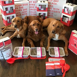 236K views · 1K reactions | Tired of kibble? So were they. Join...