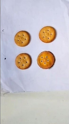 3D realistic painting monaco biscuit #acrylic color