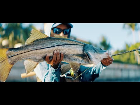 The Return of a Legend: Quantum Cabo