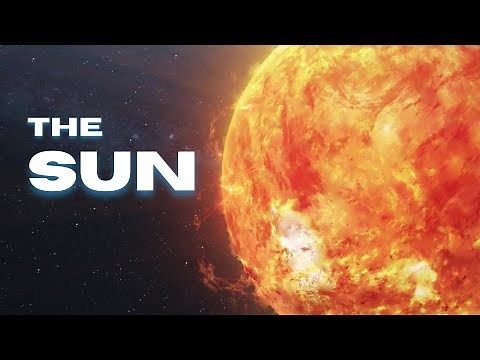 Sun 101 | Importance of Sun | What is Life Without Sun? | Science for Kids