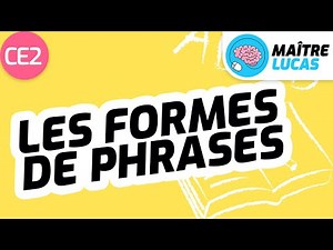 Sentence forms CE2 - Cycle 2 - French - Grammar