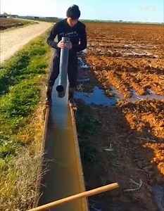 Amazing Inventions and Technology that Make Life Easier Join now: Farm Beats | Amazing Machine