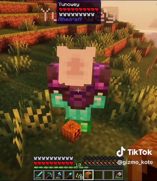 #майнкрафт #minecraft