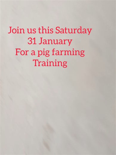 It's possible for you to start Piggery this year. Get to learn the best management practices and key notes to setting up a profitable piggery project. For bookings; 0775857274 0718208066 championpigsolutions@gmail.com