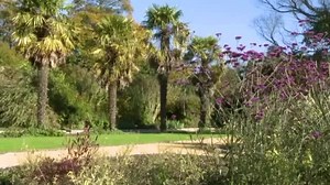 36 reactions · 16 shares | A little taster of what you can expect on a visit to Malahide Castle and Gardens | Malahide Castle and Gardens | Facebook