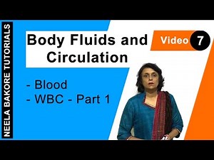 Body Fluids and Circulation | NEET | Blood - WBC - Part 1 | Neela Bakore Tutorials