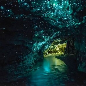 75K views · 3.2K reactions | Amazing Glow Worm Cave, New Zealand | I Want to Travel the Whole World | Facebook