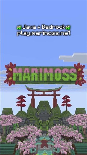 Our Minecraft Survival Server Is Now Open!