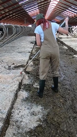 74K views · 502 reactions | How a Beautiful Girl Cleans Cow Manure on the Farm ✨ | Jason & McGrath | Facebook