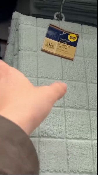 Grab some Dollar Tree towels & a sponge… 🤭🧽🫧🎁