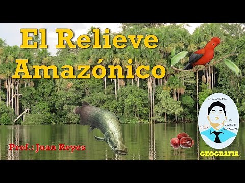 El relieve Amazónico - LA SELVA