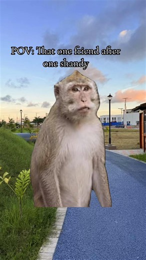 POV That One Friend After One Shandy — Short Meme Clip
