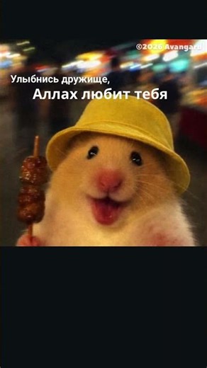 улыбнись дружище это сунна☝️ #аллоху #уммапророкамухаммадаﷺ