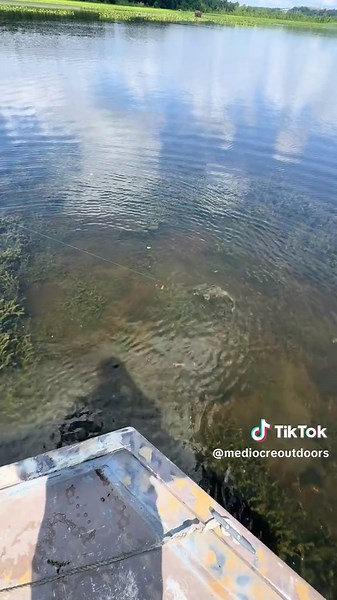 Ultimate Water Fun: Exciting Activities for Everyone