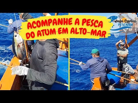 Follow the tuna fishing in the open sea.