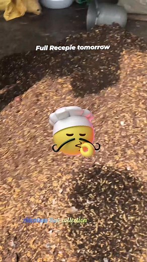 Biryani preparation complete. Full video coming tomorrow. #adenium_bub_collection #wholesale_adenium #imported_adenium #buy_adenium #adeniumplants #GraftedAdenium #adeniumlover #adeniumflower | Abhisek Adenium