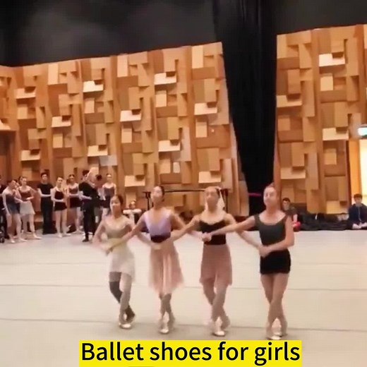 Girls Ballet shoes kids dance slippers