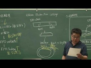 京都大学 理学部 「細胞内情報発信学」第2回 森 和俊 教授 (理学研究科) Ch.5 2018年4月20日