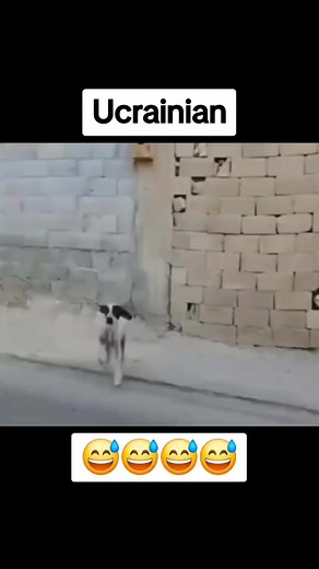 2.5M views · 3.2K reactions | 樂樂樂 | RO.Independent | Facebook