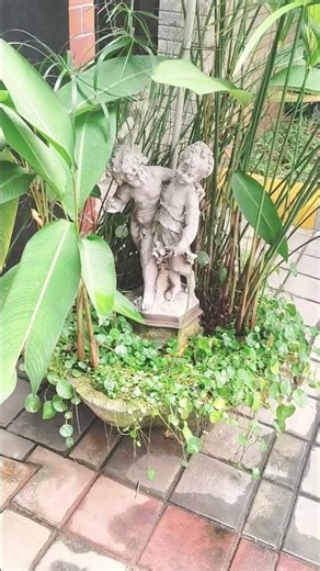 let's meet cutty stroy