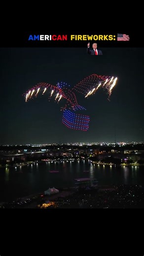 best fireworks in the world #edit #firework #funny #comedy