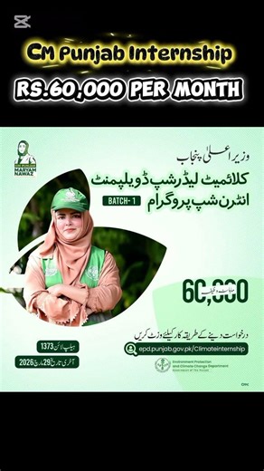 cm punjab climate leadership development internship program