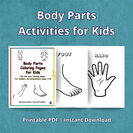 Body Parts Worksheets for Kids | Body Parts Coloring Pages & Matching Activities | Cut and Glue Preschool Printable | Instant Download PDF - Etsy