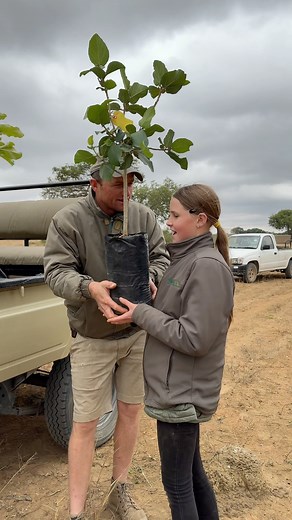 21K views · 1K reactions | Planting a fig tree on Imire is a small way to make a difference in the future success of this ecosystem - how amazing!  #wildlife #Conservation #brookecarter | Brooke.Carter | Facebook