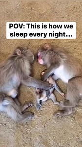 4.8M views · 43K reactions | True story 凉Does this look like your family too? If it does follow me Amy The Breastmilk Queen ! ! #breastmilkisthebestmilk #breastfeedingsupport #thebreastmilkqueen #breastmilkjewelry #keepsakejewellery | The Breastmilk Queen - Amy McGlade | Facebook