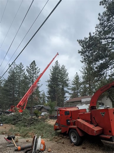 Crane days with Sierra Crest Tree Service in South Lake Tahoe, CA removing large Jeffrey pine trees for CAL FIRE defensible space compliance. #treeservice #tahoe #crane #stihl #vermeer