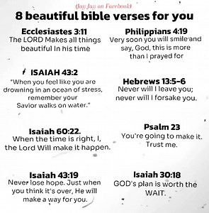 8 beautiful bible verses for you🫵🏻 #highlightseveryone #foryoupagereels #reels2025シ #fypシ゚ #foryoupageシ #God #JayJay | Jay Jay
