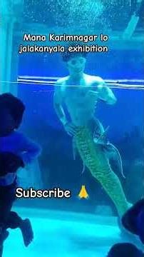 Mana Karimnagar Lo exhibition status ayedhi.... akkada jila kanyalu unnai