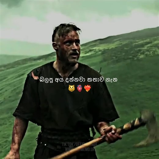 Exploring Viking Culture and Traditions