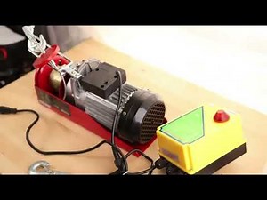 VEVOR Polipasto Eléctrico Carga de Elevación de 1000 kg Polipasto