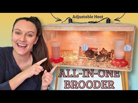 Chicken Brooder Box Kit for Chicks | Complete Setup with Heat Lamp & Feeder