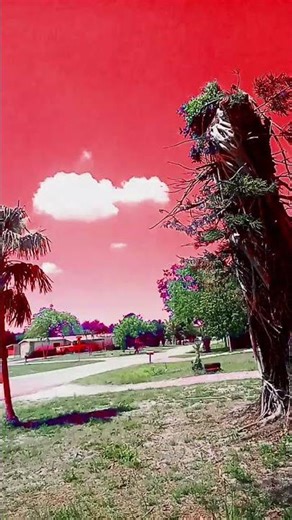 ❤️❤️ #video #humor