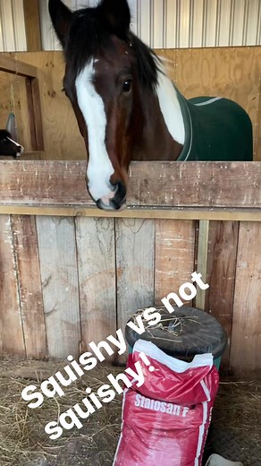 13K views · 126 reactions | So we were lucky enough to try some...