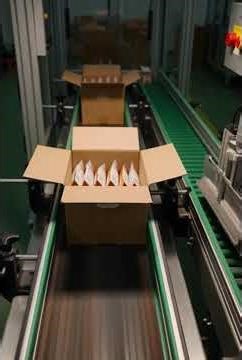 Inside a Plastic Bottle Cap Injection Molding Line – 30 Second Factory Flow