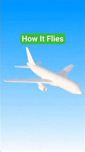 How Airplanes Fly in 10 Seconds #ScienceShorts #3DAnimation #AviationBasics
