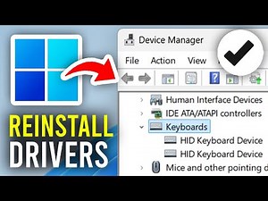 How To Reinstall Keyboard Drivers In Windows 11 & 10 🖥️