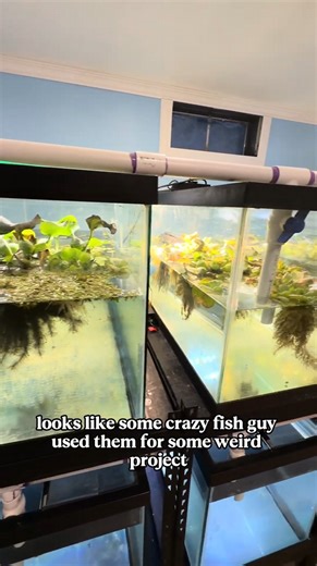 Organizing the business basement workspace transformation